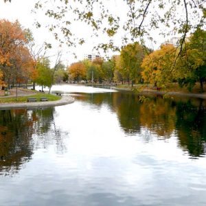 montreal-parc-lafontaine-credit-tom-welcker