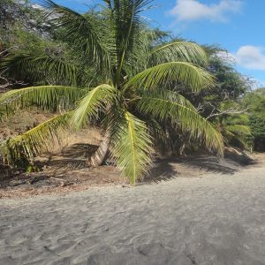 puerto-rico-copines-black-sand-playa