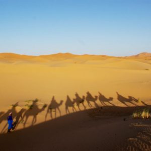 marrakech-entre-copines-désert