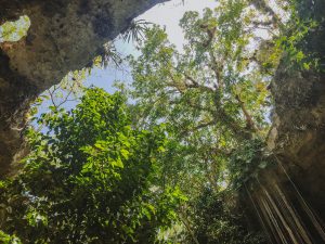 meilleurs-cenotes-yucatan-sac-aua-1