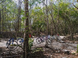 meilleurs-cenotes-yucatan-xcanche-1